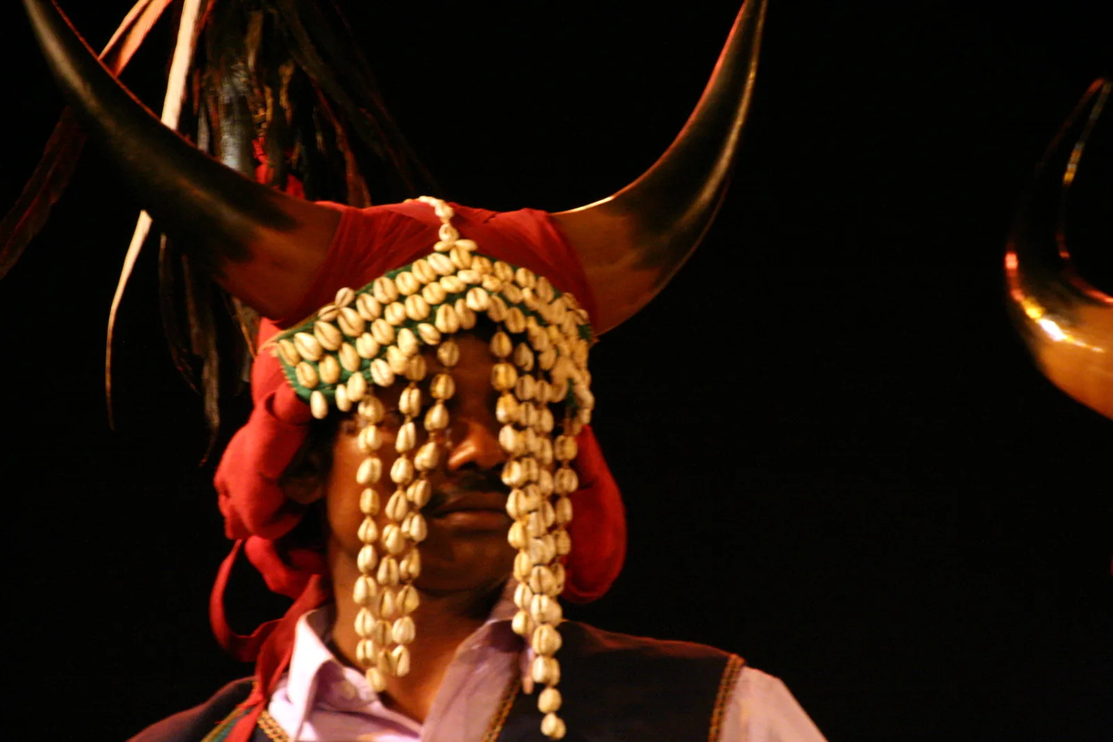 A Bison-horn Maria artist in Bastar